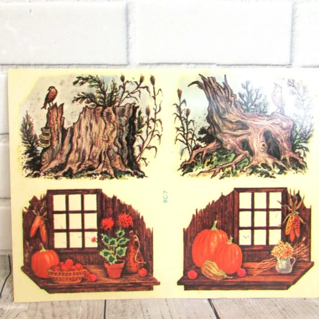 Calcomanías de transferencia de agua vintage tocones y calabazas Meyercord RC-7 naturaleza otoño