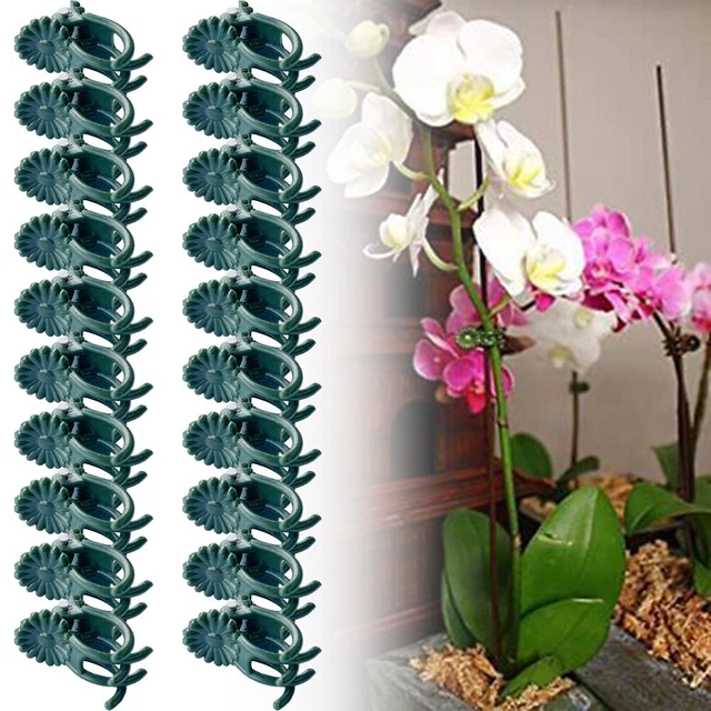 Décoration Voiture Fleurs Marguerite FloralGrace Lot De 4 Marguerites Pour Voiture - Décoration Tableau De Bord - Accessoire Voiture Féminin Et Esthétique Décoration Intérieur Auto