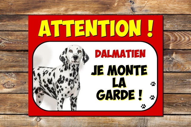 Achetez Sur Votre Panneau Attention Au Chien Epagneul Breton