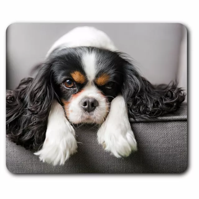 Computer Mouse Mat - Cavalier King Charles Spaniel Dog Office Gift #12388