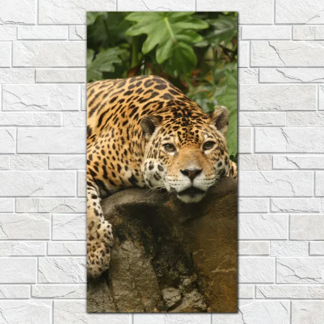 Photo Picture Tempered Glass Print 50x100 Big cat male jaguar Wildlife