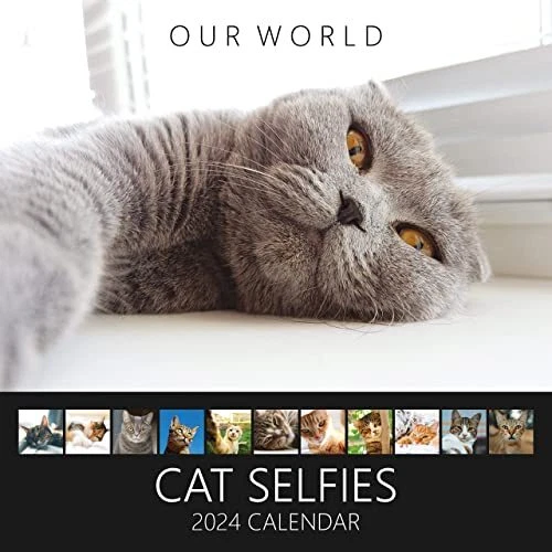 OUR WORLD CAT Selfies Wall Calendar 2024 Family Planner & Daily
