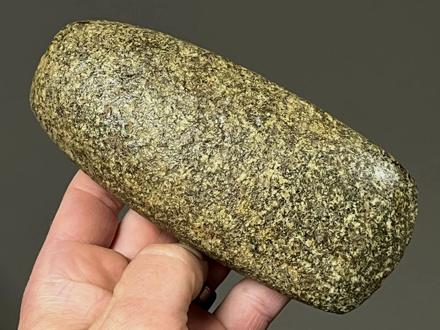 Phenomenal 5 5/8" Granite Celt Ohio Arrowheads Authentic Indian Artifacts C23