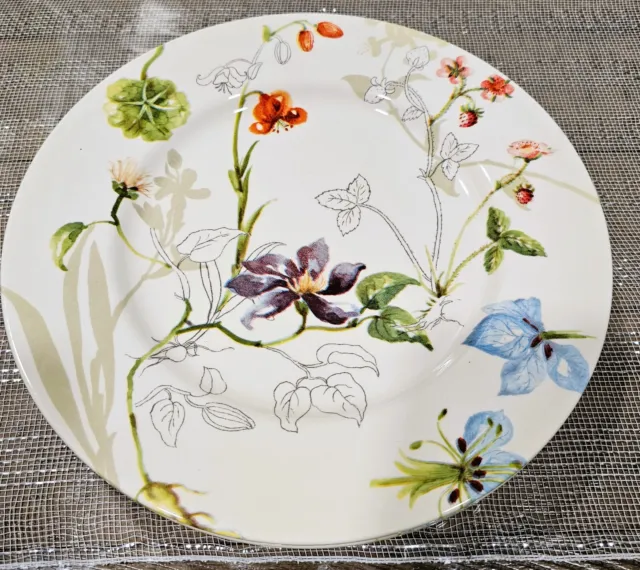 Royal Stafford Set of 4 Porcelain Dinner Plates 11" Multicolor Floral Spring