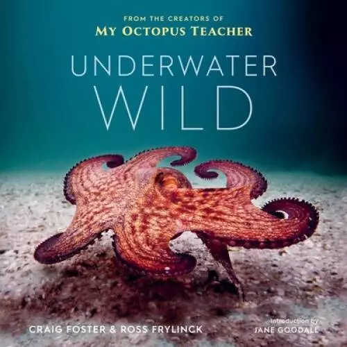 Underwater Wild: My Octopus Teachers Extraordinary World - Hardcover - GOOD
