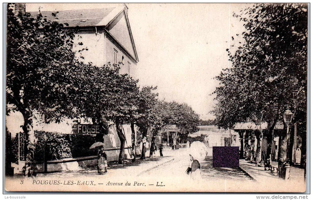 58 POUGUES LES EAUX - l'avenue du parc