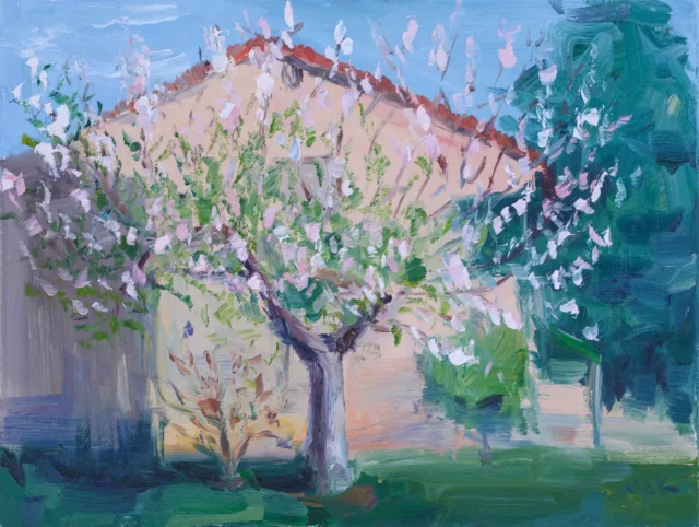Sakura Tree Oil Painting Cherry Blossom Original Art Nashville Landscape Artwork