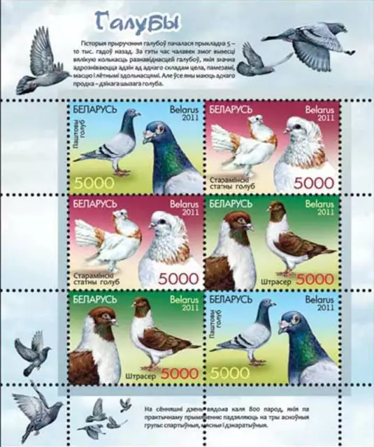 2011 Belarus Fauna Pigeons Birds MNH