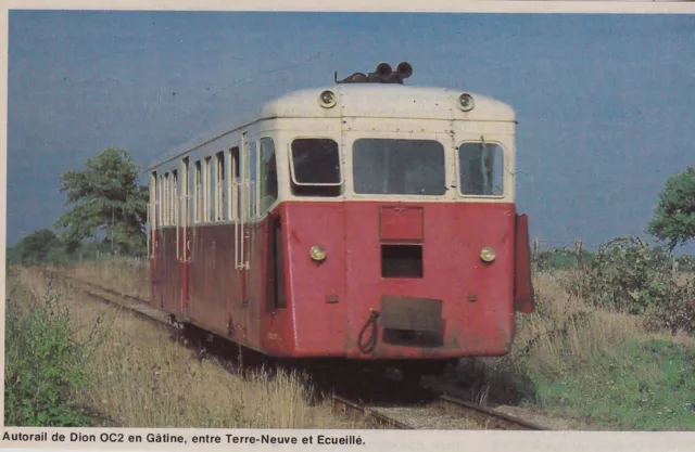 1980  --  Autorail De Dion En Gatine  Entre Terre Neuve Et Ecueille   3F780