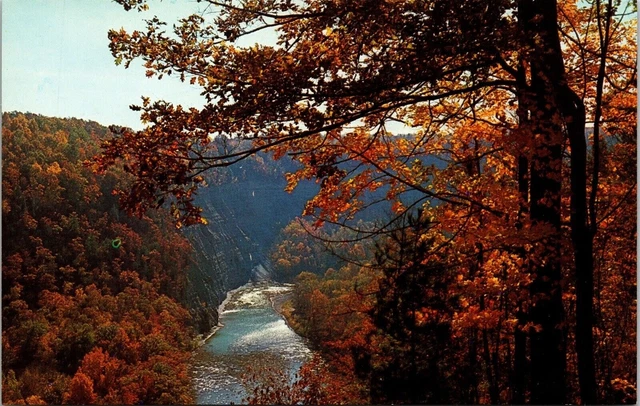 Letchworth State Park Castile New York NY Genesee River Gorge Autumn Postcard