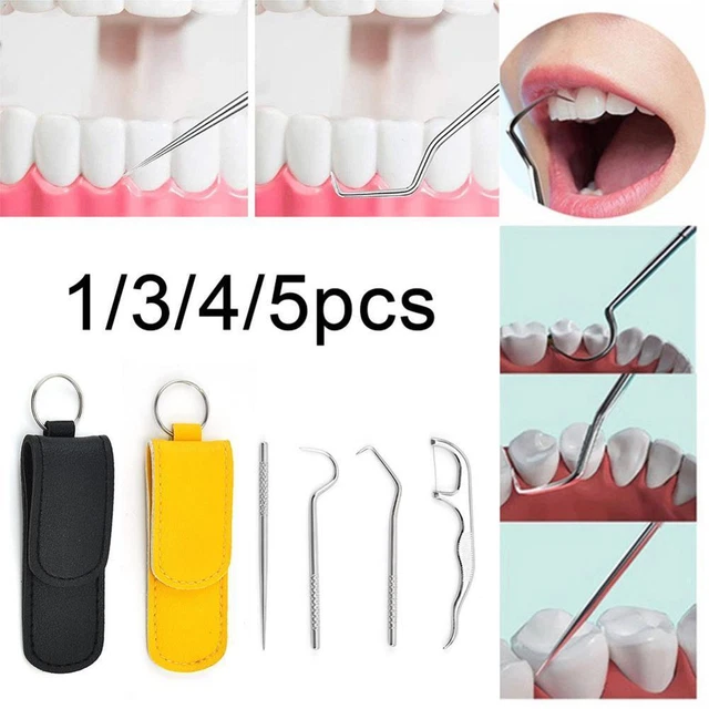 Mini Metal Toothpick Holder Floss Tooth Picks Set Portable s u Scraper S19C