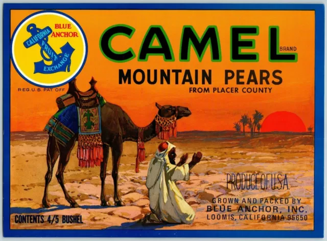 Camel Mountain Pears Vintage Original Paper Fruit Crate Label Loomis, CA