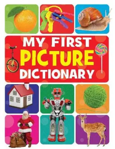 My First Picture Dictionary Book NEUF