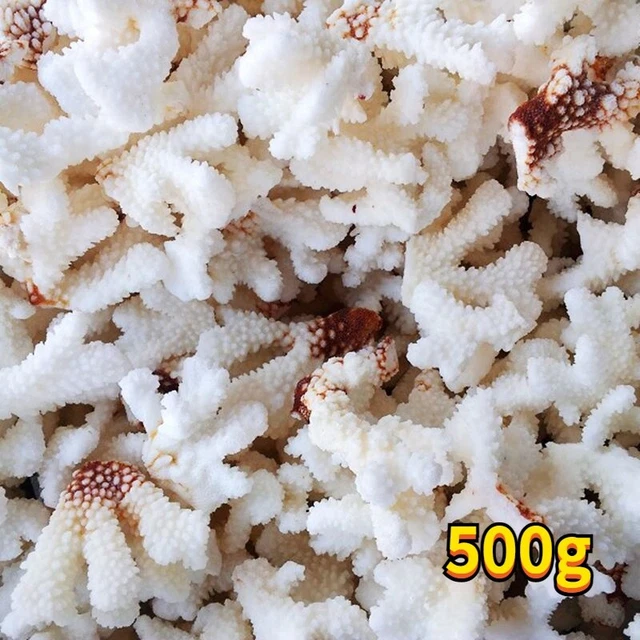 Natural Sea Coral Seasnail Aquarium Ornament Fish Tank Reef Home Decor 500g