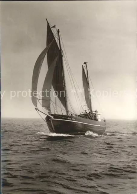 12182166 Segelboote Segelkutter Alte Liebe Kurzschule Weissenhaus Segelboote