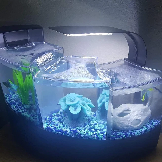 10 W Clip-On Light Aquarium Full Tank Aluminum Alloy White and Blue LEDs