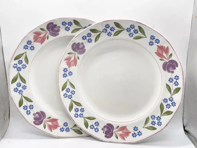 Vintage Adams Old Colonial Ironstone Set Of 2 Dinner Plates Floral