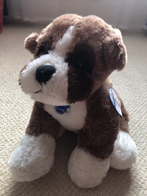 Nintendogs boxer cheap