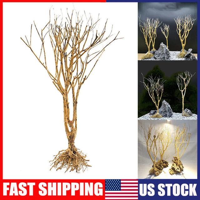 1PCS Aquarium Wood Driftwood Tree Trunk Fish Tank Ornament Landscaping Decor USA