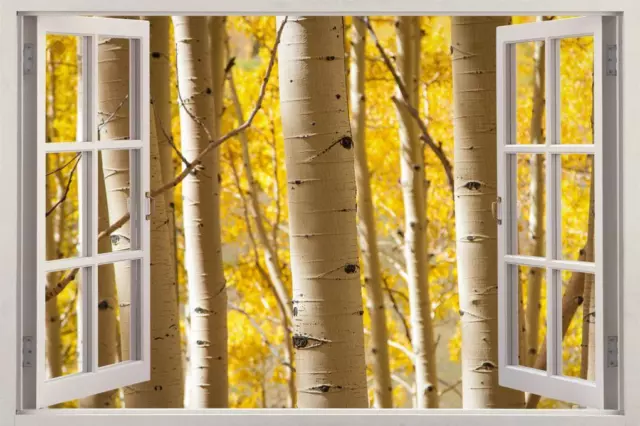 Yellow Birch Trees Forest 3D Window View Decal WALL STICKER Home Decor Art FS