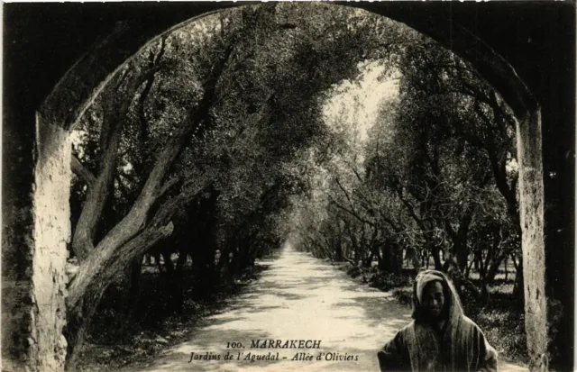 CPA AK Marrakech - Jardins de l'Aguedal - Allee d'Oliviers MAROC (963623)
