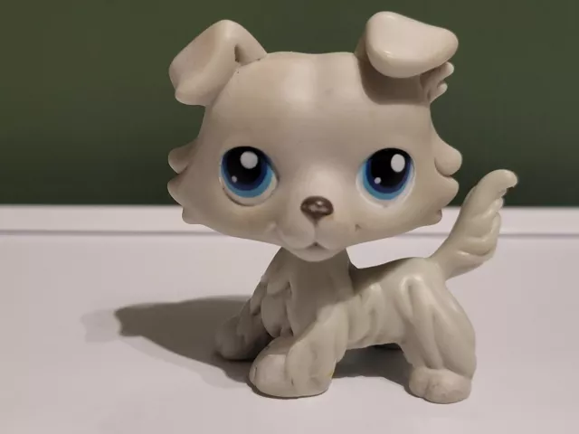 Lps #363 Littlest Petshop Original Authentique Chien Colley Dog Collie Hasbro