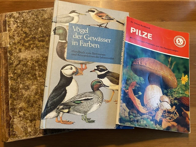 alte Bücher Konvolut, Junkjournal Vintage Scrapbooking Natur, antikes Schulbuch