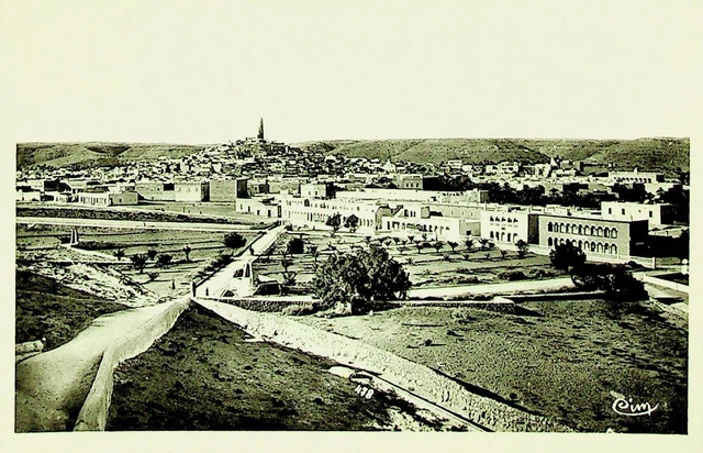 FRENCH ALGERIA 12f ON GHARDAIA M'ZAB GENERAL VIEW PPC TO ALGER