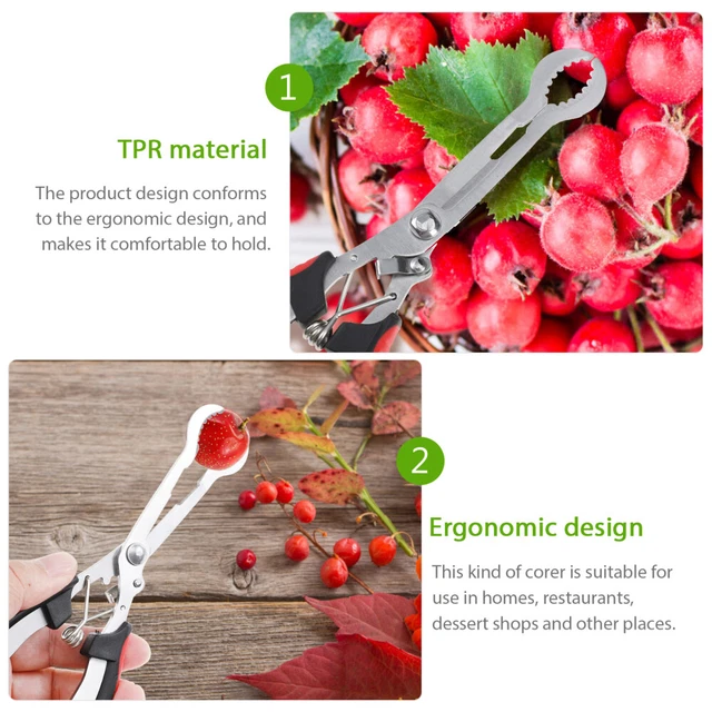 FRUIT PITTER HAWTHORN Corer Removing Tool Red Dates Remover £8.48