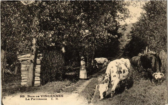 CPA AK PARIS 12e Bois de VINVENNES Le Paturage (672670)