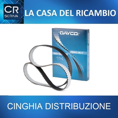 Dayco 94481 Courroie Distribution 