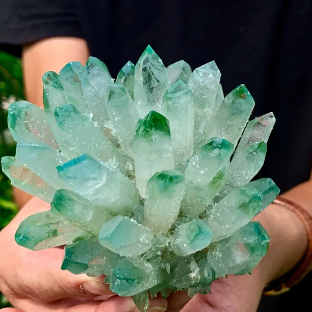 322G New Find Green Phantom Quartz Crystal Cluster Mineral Specimen Healing