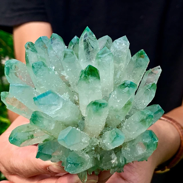 322G New Find Green Phantom Quartz Crystal Cluster Mineral Specimen Healing