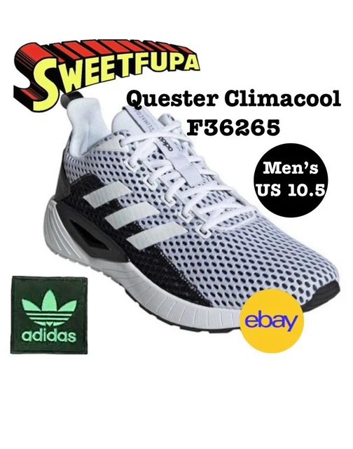 adidas gazelle silver green womens adidas Questar 3 Running Shoes