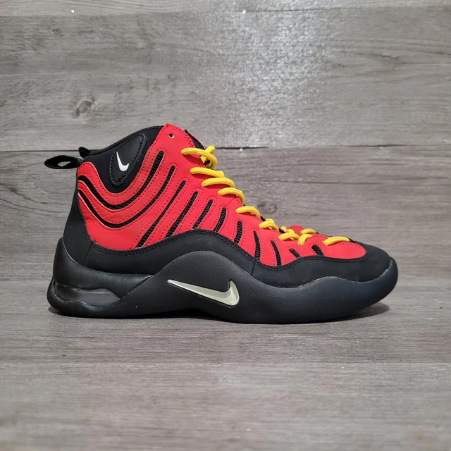 Who Cares: Nike Air Determination Tim Hardaway PE (1999) - KICKSIGMA