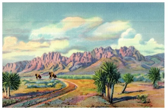 The Organ Mountains Las Cruces New Mexico Cactus Postcard