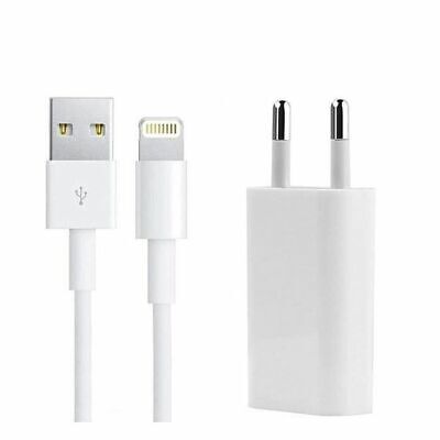 Cordon de Transfert d'1m pour iPad et iPhone 5 Solide Câble USB de Charge Rapide pour iPhone Charge Rapide 11 Pro 5s 6 Plus 6s 7 Câble pour Chargeur iPhone 5c 6 8 Plus Compatibilité 