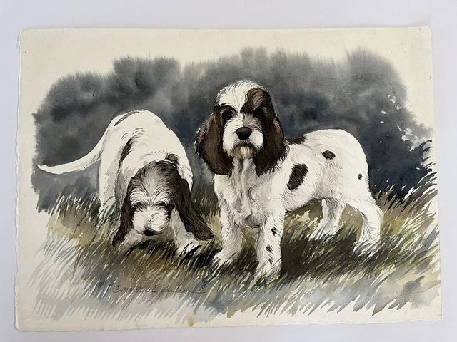 Petite Basset Griffon Vendeen Original Watercolor By Martha Van Loan