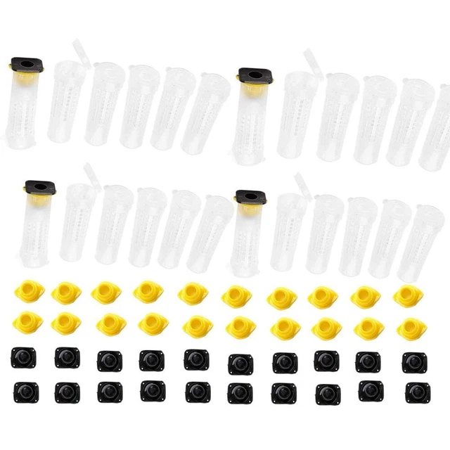 Insect Rearing Cups 20X BEEKEEPING REARING Cup Kit Queen Bee Cages Beekeeper Equipment ...