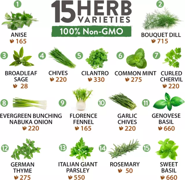 15 Culinary Herb Seeds - Heirloom & Non-GMO - High Germination Rate - Indoor/Out 3