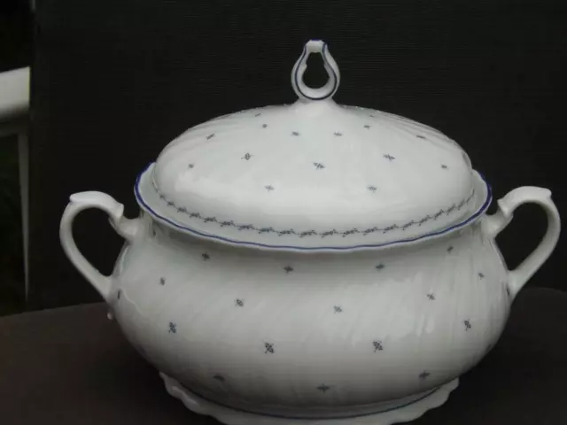 Seltmann Weiden Regina Tureen Azul Mariposas Condición de Menta