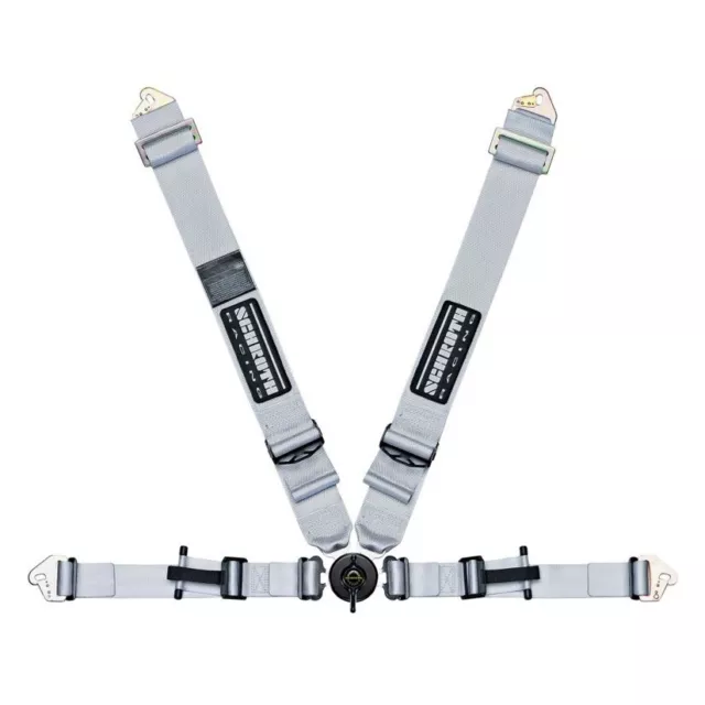 Schroth Profi Ii Asm 4 Point Harness With Flexi Belt - Silver