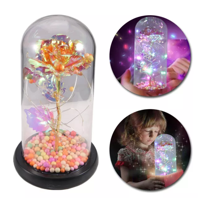 Enchanted Forever Rose Flower In Dome Glass LED Night Light Anniversaries Gift