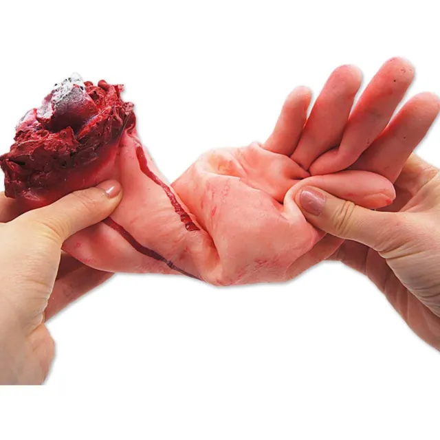 Halloween Prank Fake Body Parts Bloody Scary Severed Arm Hand Prank Props Toy 3
