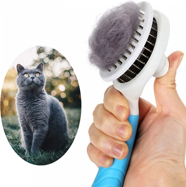 Brosse Chiens Chats, Brosses de Toilettage pour Chats et Chiens...
