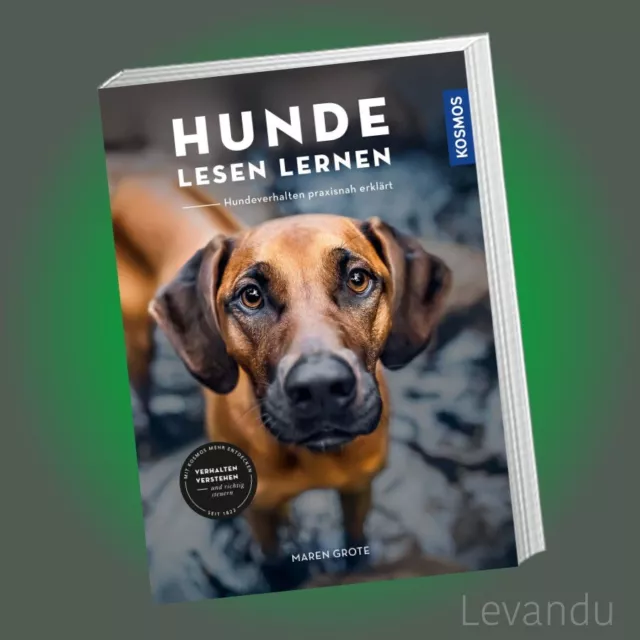 HUNDE LESEN LERNEN | MAREN GROTE | Hundeverhalten - praxisnah erklärt - Buch