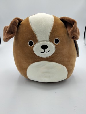 bernie the st bernard squishmallow