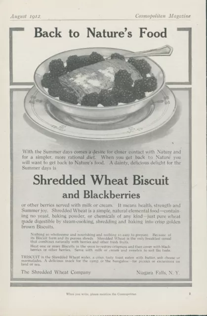 1912 Shredded Wheat Biscuit Blackberries Back To Nature Food Vtg Print Ad CO4