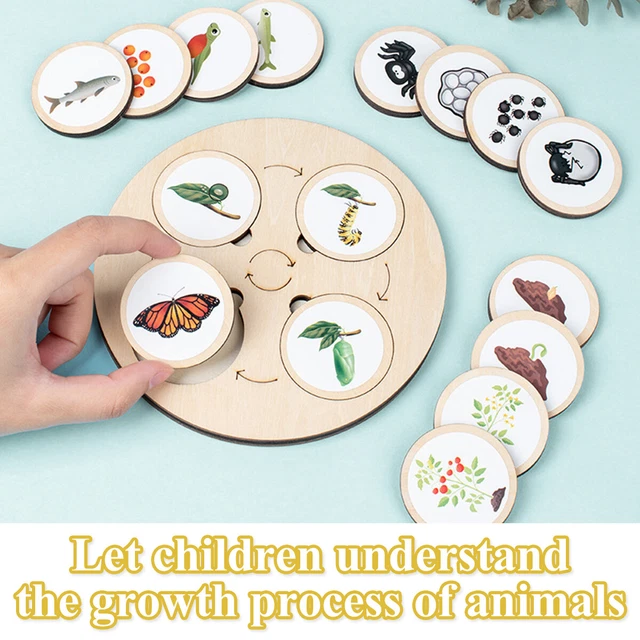 WOODEN LIFE CYCLE Tray Montessori Life Cycle Puzzle Kit of Animals ...