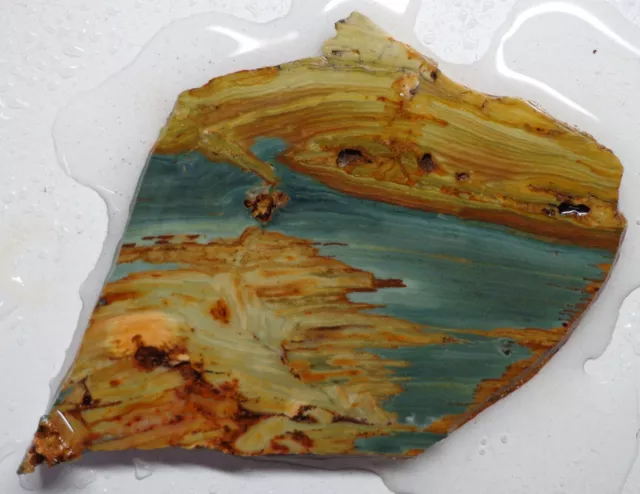 WRG- Gary Green Larsonite / Freedom Jasper Slab 52 grams Oregon